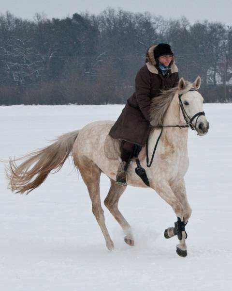 Bild zu Kerstin Henneberg